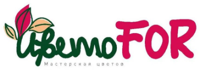 Цветофор